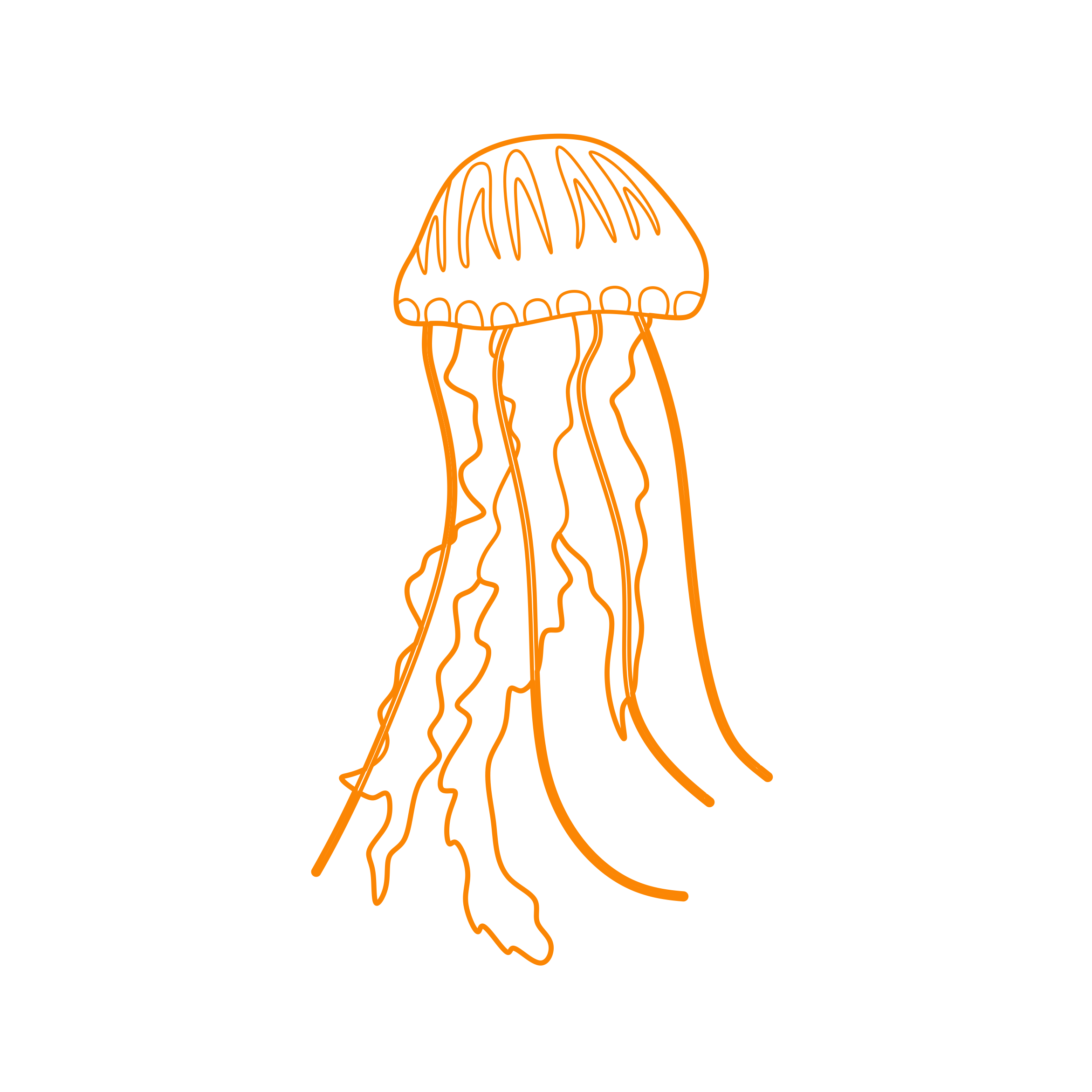 Animals Jellyfish Compass Jellyfish Sketch Style Svg Vector Free Vectors